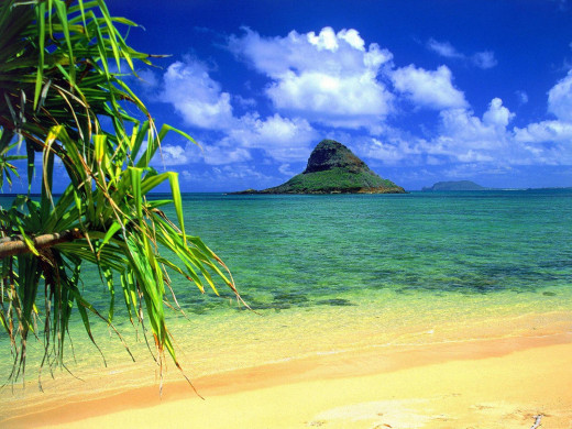 39806 (a): :1600x1200